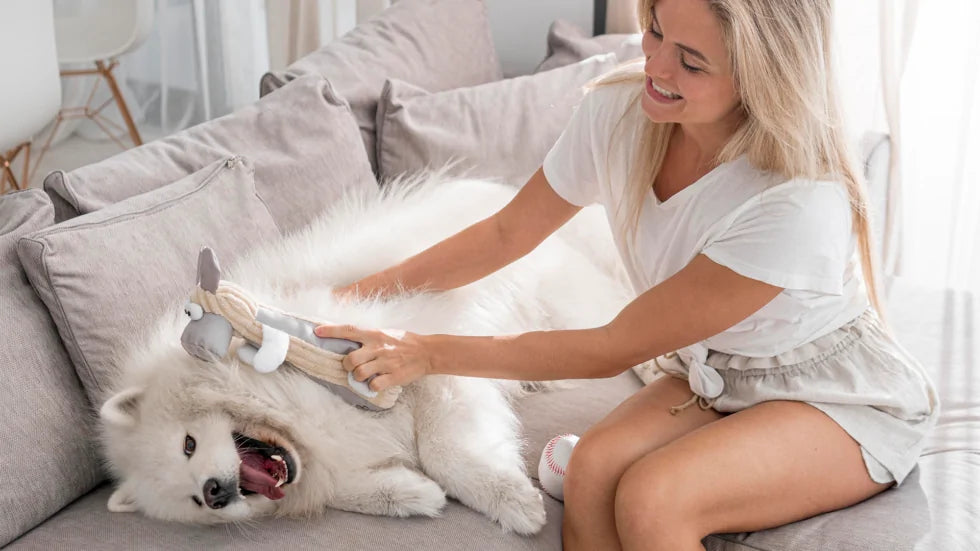 Come pettinare il cane: consigli e tecniche essenziali