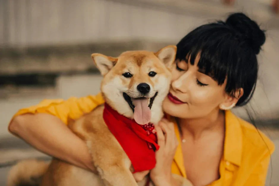 Il tuo cane puzza? Cause e rimedi efficaci per eliminare il cattivo odore