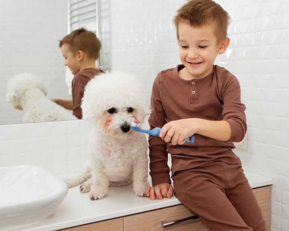 Dentifricio cane: come scegliere quello giusto per l’igiene orale del tuo peloso 🐾