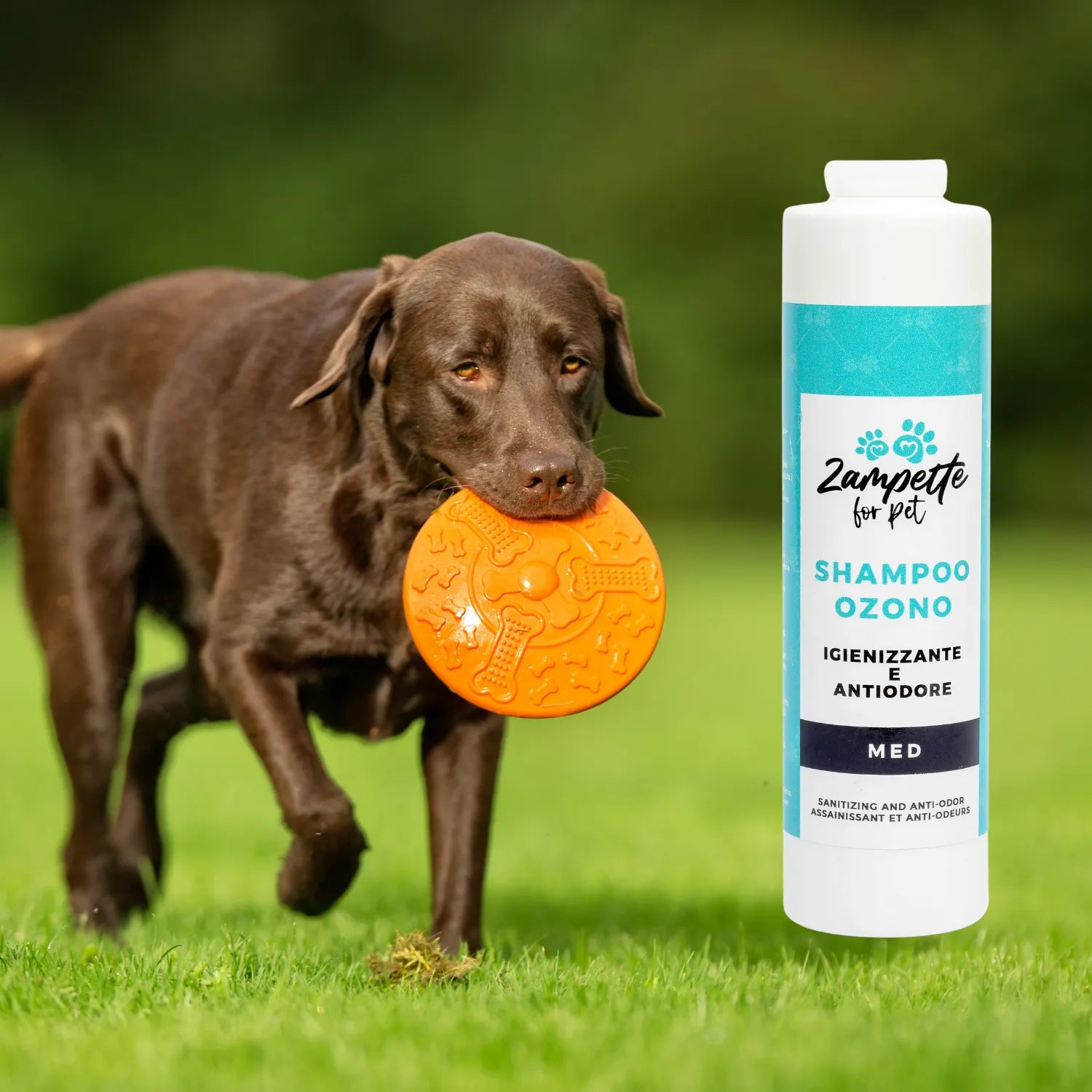 Shampoo Ozono