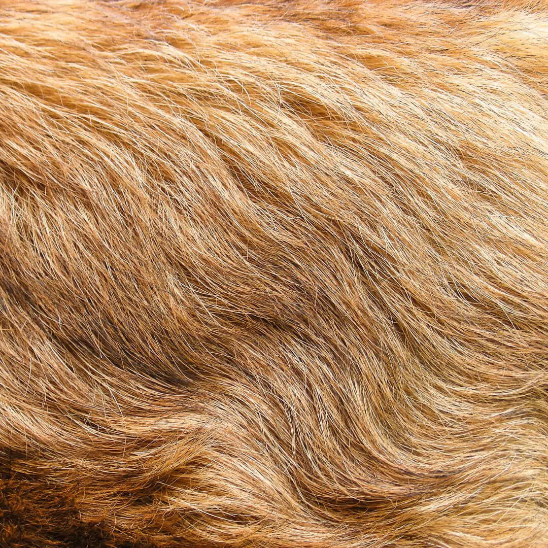Foto del prodotto Kit manti LUNGHI - Basic