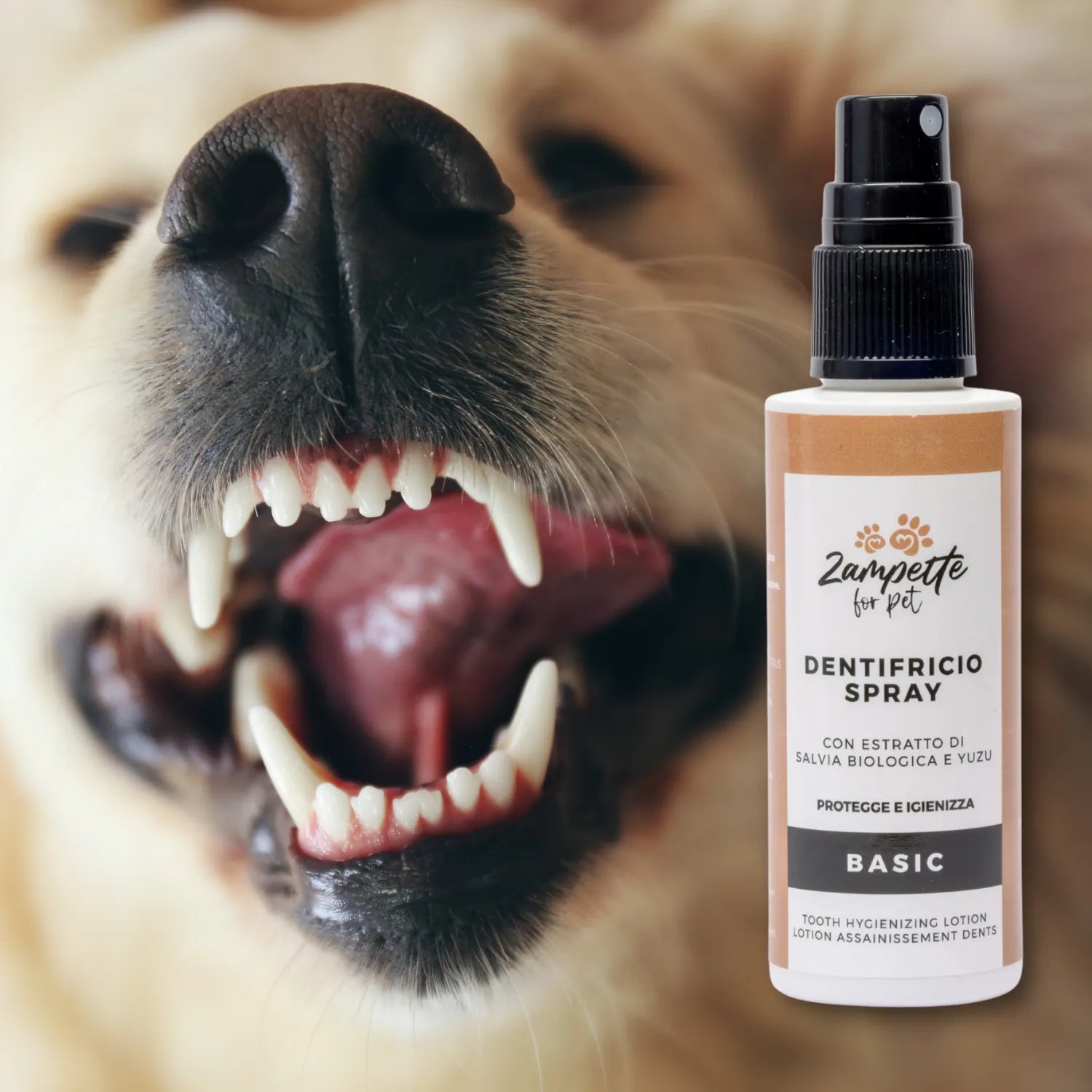 dentifricio spray per cani