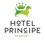 logo-banner-2