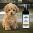 Carica l'immagine nel visualizzatore della galleria, spray scioglinodi per cane

